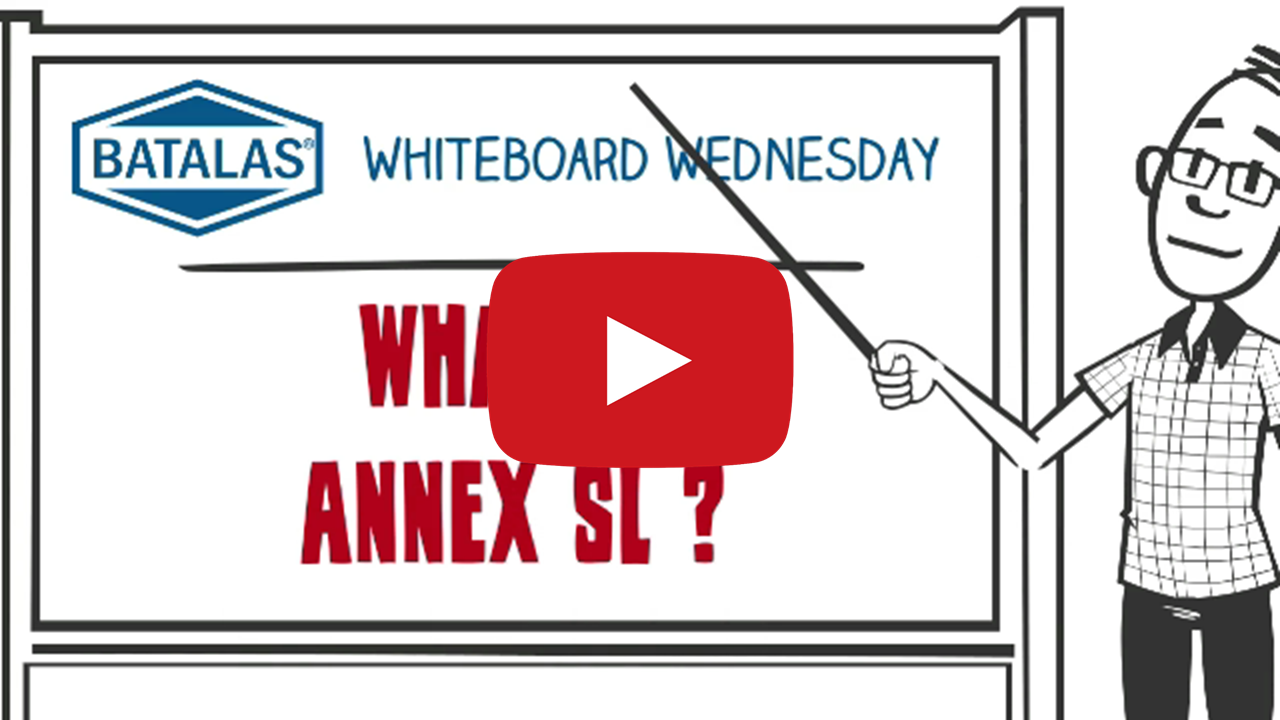 What is Annex SL
