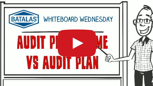Audit programme v's audit plan